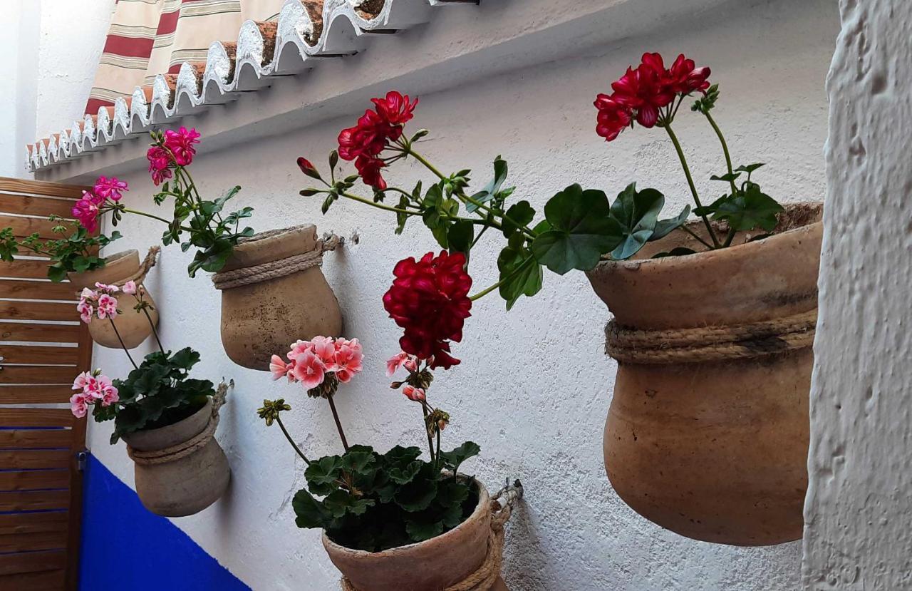 Appartement La Encomienda De Ii Almagro